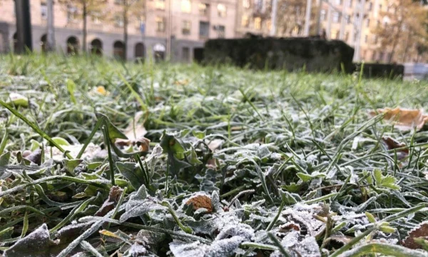 Москва под угрозой заморозков, объявлен  «оранжевый» уровень погодной опасности