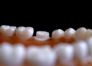 Японский стартап Toregem Biopharma готовится к прорывным клиническим испытаниям «средства для восстановления зубов»