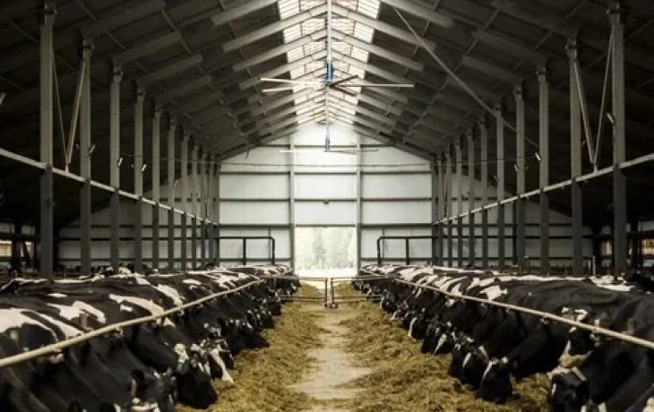 Агростраховщики начнут покрывать риски терроризма и диверсий через РАТСП