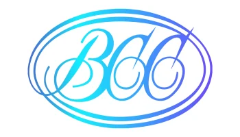 Банк России и ВСС определят правила игры на страховом рынке в 2025 году