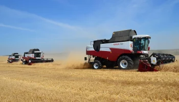 Господдержка аграриев Дона возрастет из-за неурожая и режима ЧС