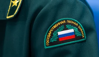 Совет Федерации подготовил проект о страховании и росте зарплат лесной охраны