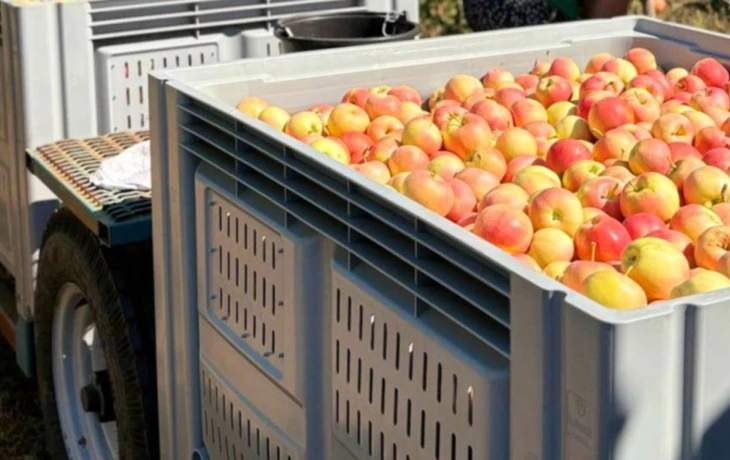 &laquo;СберСтрахование&raquo; выплатила 82 млн рублей белгородской ферме за неурожай