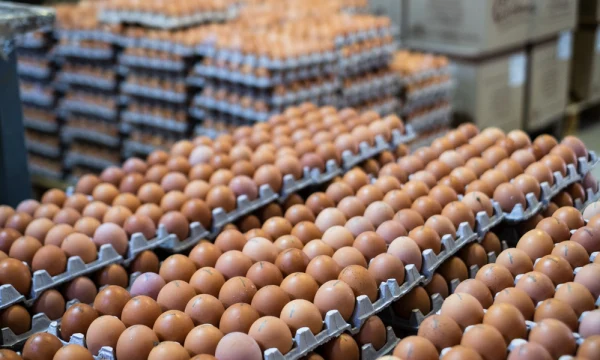 Производителей яиц в России предупредили о необходимости воздержаться от повышения цен к Пасхе.