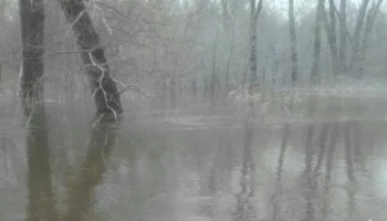 Росгосстрах прогнозирует рост выплат по паводкам на 25&ndash;30% в 2026 году