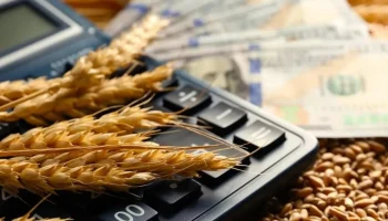 Запорожье предлагает расширить полномочия СЭЗ и компенсировать военные риски аграриям