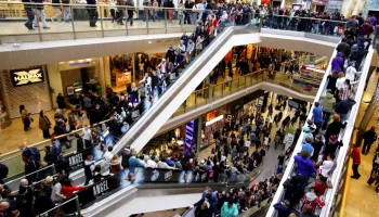 Эксперт озвучил информацию о работе над проектом закона о страховании посетителей общественных мест