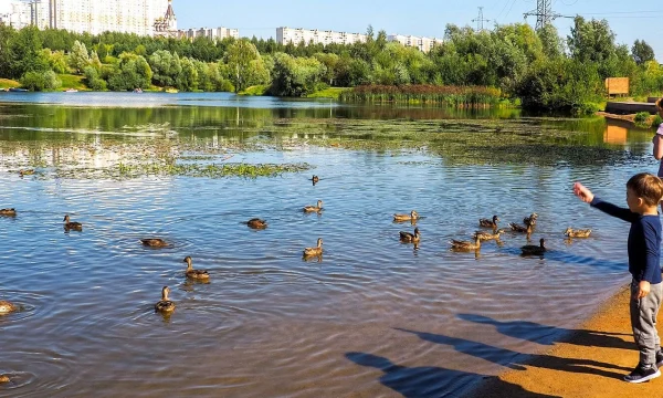 Погода на лето в Москве - Небольшое превышение температур и короткие интенсивные дожди