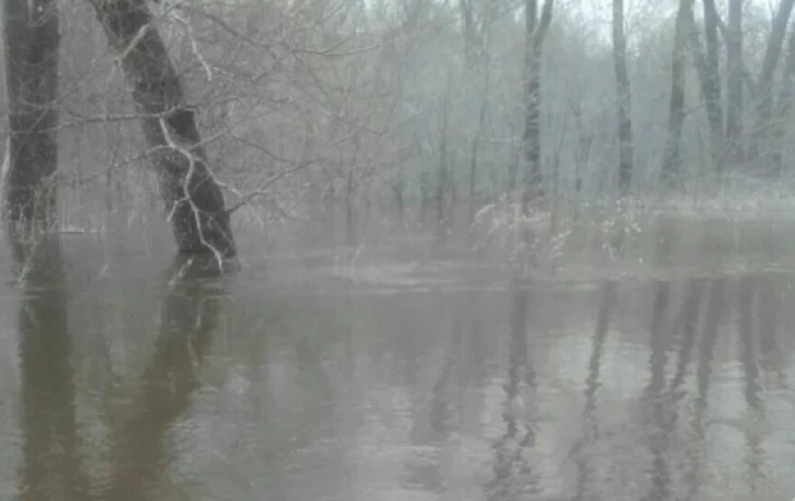 Росгосстрах прогнозирует рост выплат по паводкам на 25&ndash;30% в 2026 году