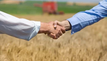 НСА и "Белгосстрах" подписали соглашение о развитии агрострахования