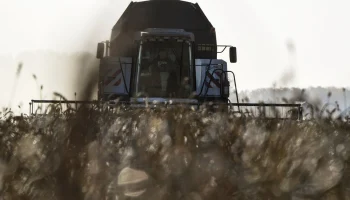 Агрострахование в Сибири: регионы-лидеры и вызовы урожая 2025 года