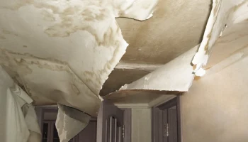 Потоп и испорченная отделка: названы главные проблемы при ремонте