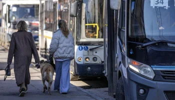 Минтранс усиливает контроль за автобусными перевозчиками: доля нелегалов превысила 30%