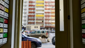 Рынок страхования жилья в Петербурге сохранил объемы 2024 года