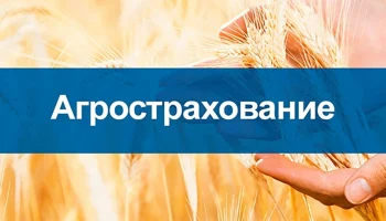 ​НСА предложил новгородским фермерам защитные механизмы на 2026 год