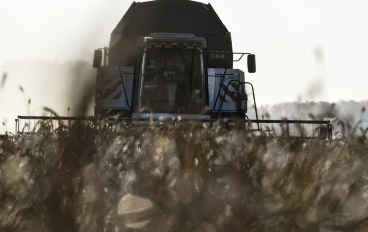 Агрострахование в Сибири: регионы-лидеры и вызовы урожая 2025 года