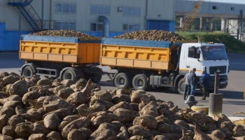 АльфаСтрахование возместила ущерб от свёклы, повредившей внедорожник на трассе