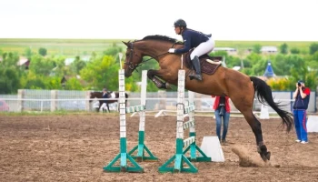 «Югория» поддержала «Кубок Губернатора ХМАО-Югры» по конному спорту