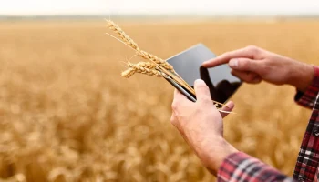 НСА и &laquo;РосАгрохимслужба&raquo; объединили усилия для развития агрострахования