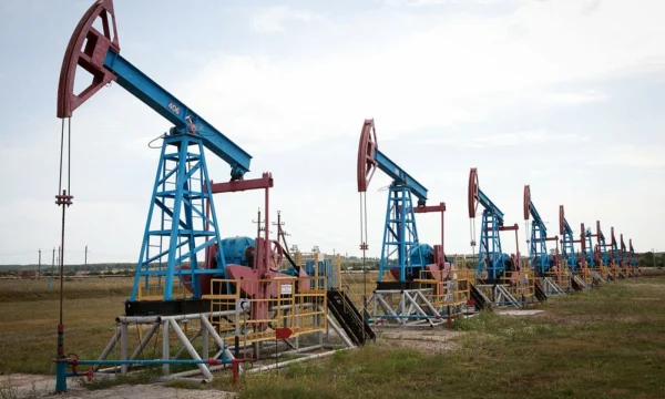 Рекордное замедление прироста нефтяных запасов в России зарегистрировано в текущем году