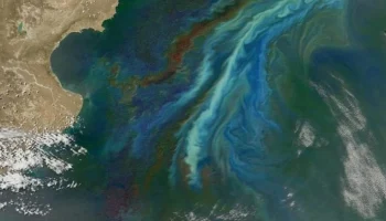 Климатические риски могут привести к росту стоимости страхования