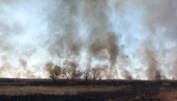 Пожары наносят наибольший ущерб загородной недвижимости