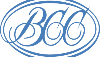 ВСС проведет юбилейный Russian Insurance Summit в мае 2025 года