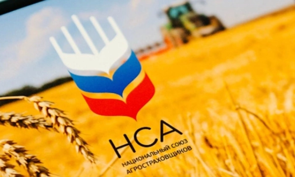 Выплаты по агрострахованию в РФ в 2025 году могут достичь рекордных 9 млрд рублей
