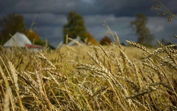 ​В России зафиксирован рост сборов по агрострахованию в 2025 году