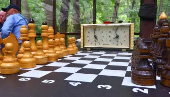 «Ингосстрах» получил награду за вклад в развитие шахмат в России