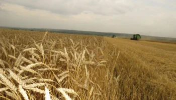 Орловские аграрии получили 617 млн рублей страховых выплат за три года