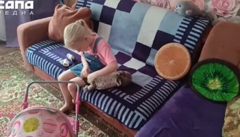 Директор &laquo;Дневник.ру&raquo; опровергает связь платформы с долгами омской школьницы