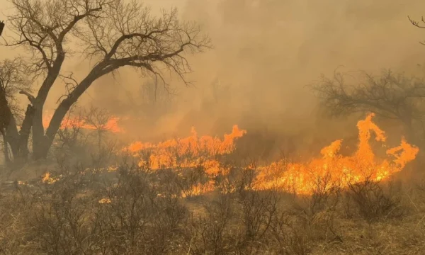 В результате возникновения природных пожаров в Техасе один человек погиб