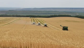 РСХБ-Страхование выплатило рекордные 1,78 млрд рублей аграриям за 9 месяцев 2024 года