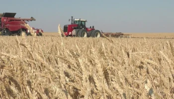 Агрострахование в России: курс на расширение защиты сельхозугодий