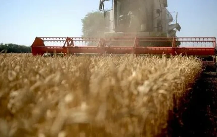 На Юге России застраховали 4,3 млн га посевов под урожай 2025 года