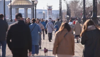 Жители Приамурья стали чаще жаловаться на банки и реже — на МФО