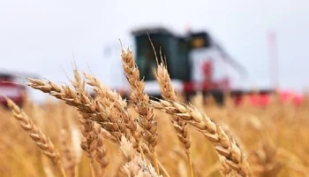 Госдума упрощает систему страхования для аграриев