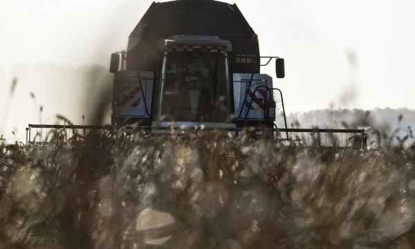 Агрострахование в Сибири: регионы-лидеры и вызовы урожая 2025 года