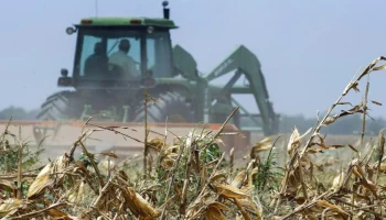 Страхование от ЧС в сельском хозяйстве: спасательный круг для российских аграриев