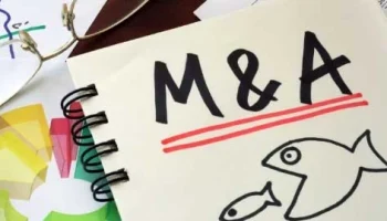 Спад активности: рынок слияний и поглощений в страховом секторе Азии сократился на 20% в 2024 году