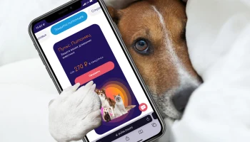 &quot;Росгосстрах&quot; завершает интеграцию цифрового страховщика &quot;Пульс&quot;