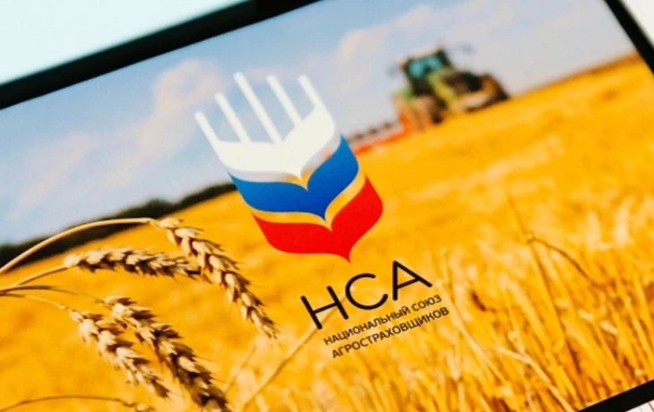 НСА определил приоритеты на 2026 год: работа с регионами и цифровизация