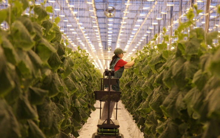 &laquo;РСХБ-Страхование&raquo; застраховало уральский агрокомплекс на 2,5 млрд рублей