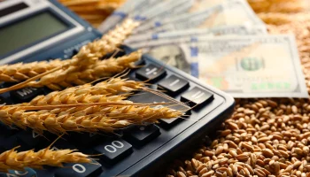 Сенаторам рекомендовали контролировать расширение агрострахования для обеспечения защиты посевов в условиях ЧС