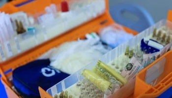 Врачи спасли женщину после укуса гадюки