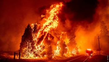 Swiss Re оценивает ущерб от калифорнийских пожаров в сумму до $700 млн