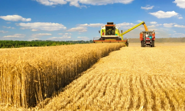 Страховой щит для урожая: названы регионы-лидеры по защите посевов в 2025 году Страховой щит для урожая: названы регионы-лидеры по защите посевов в 2025 году