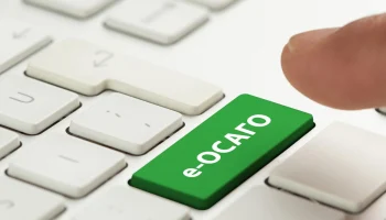 РСА: 66% полисов ОСАГО проданы онлайн в первом полугодии 2024 года