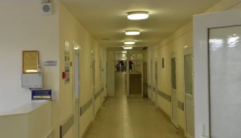 Компании в Петербурге увеличили расходы на ДМС для сотрудников